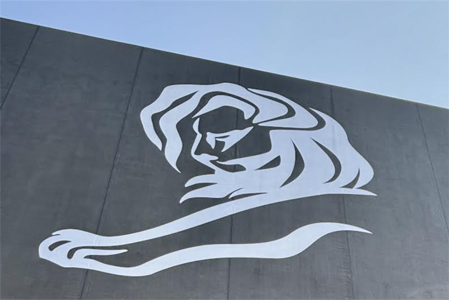 Cannes Lions logo