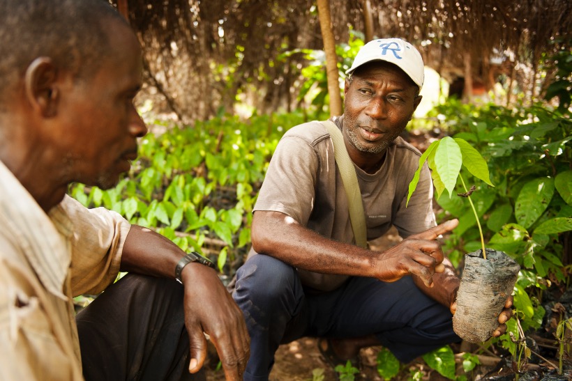 Mars: Mars Bars will be made using Faitrade cocoa from autumn 2015