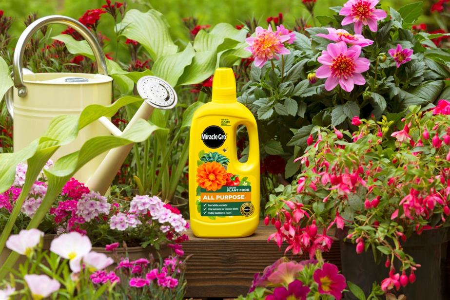 Evergreen Garden Care