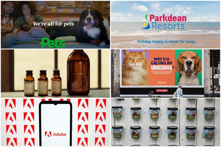 Clockwise from top left: Pets at Home, Parkdean Resorts, Staysure, Unilever, Adobe and Purdy & Figg