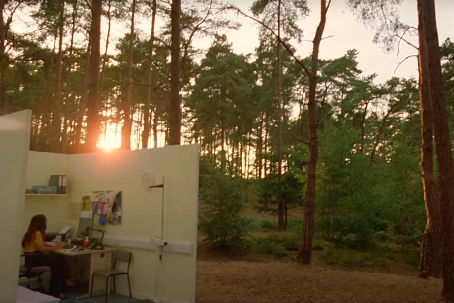 A woman sitting in an office in woodland