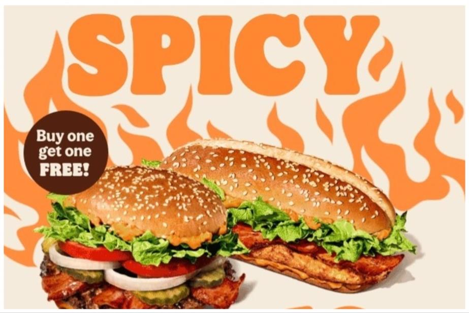 Burger King ASA banned ad