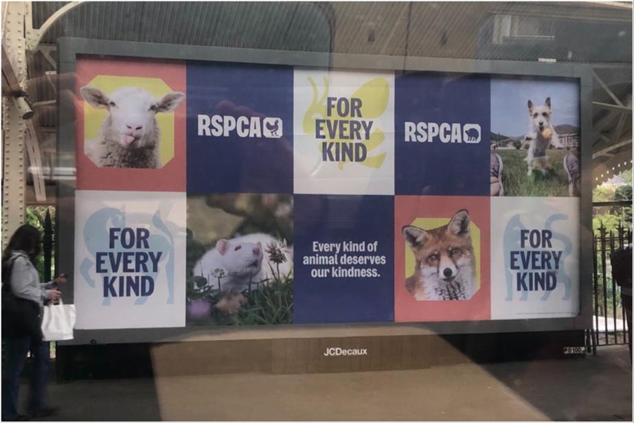 RSPCA ad