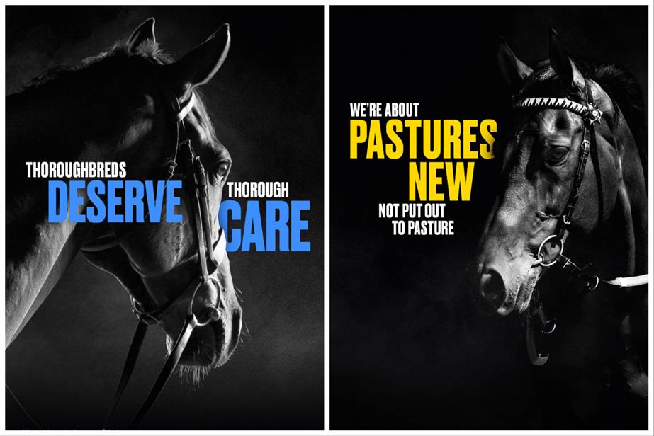 Two posters from the campaign featuring a Thoroughbred horse