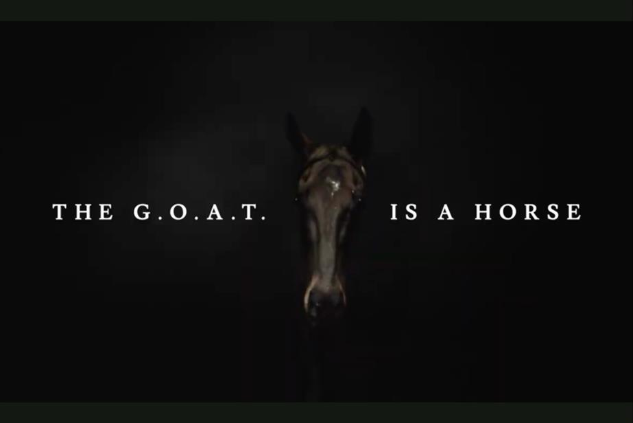 The G.O.A.T is a horse still