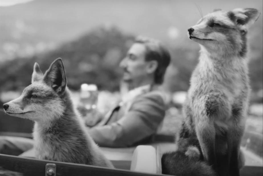 Foxes on a speedboat