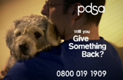 PDSA: new ads
