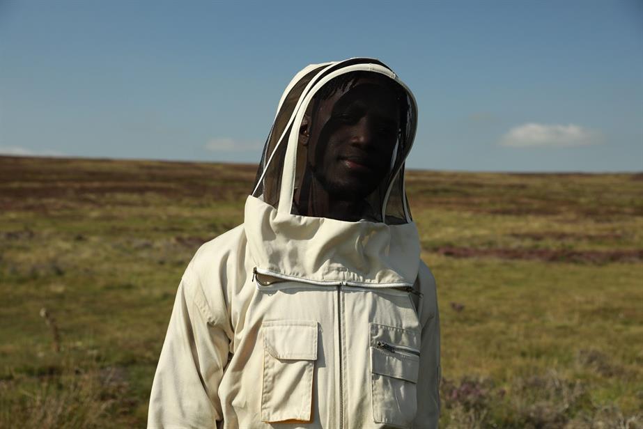 Rowse: campaign focuses on how Rowse is helping to protect bees and beekeepers