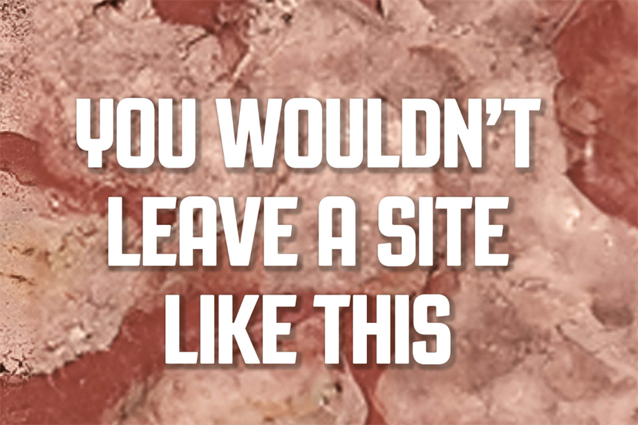 cracked skin with the slogan 'you wouldn't leave a site like this'