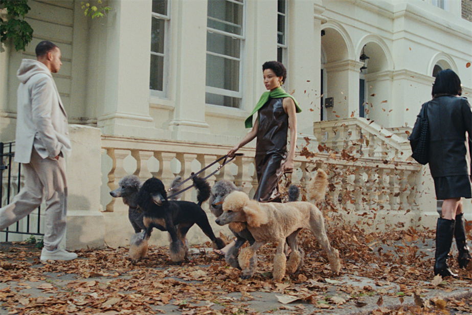 model Lineisy Montero walking 4 dogs 