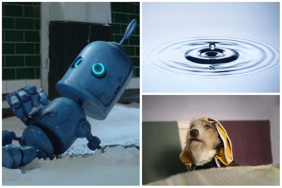 Clockwise from top left: O2's Bubl mascot, a drop of water, a dog in a coat