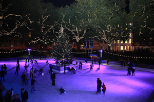 Create has launched its winter pop-up at the Natural History Museum