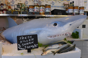 Syfy's animatronic shark gave shoppers a shock this week