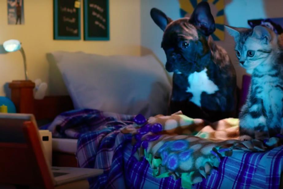 The latest Kitten Kollege spot features a French exchange