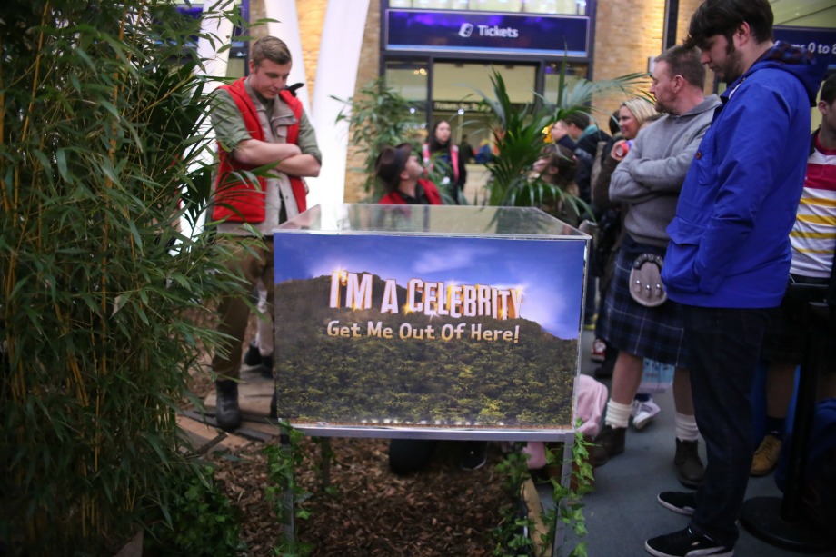 ITV stages bushtucker trial experience 