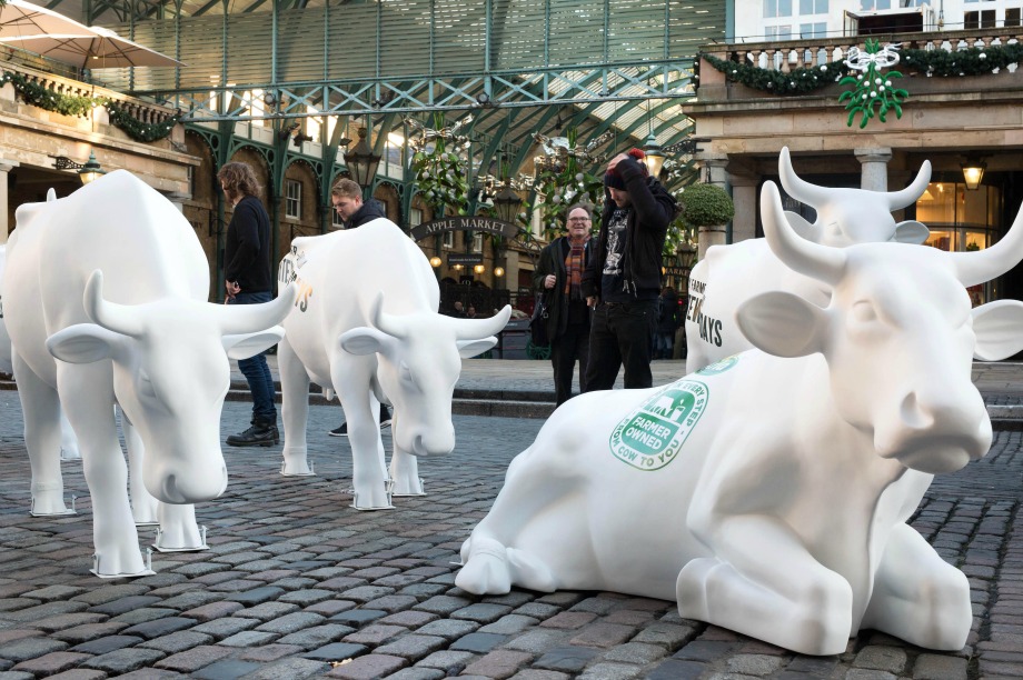 The cows visited London's Covent Garden yesterday