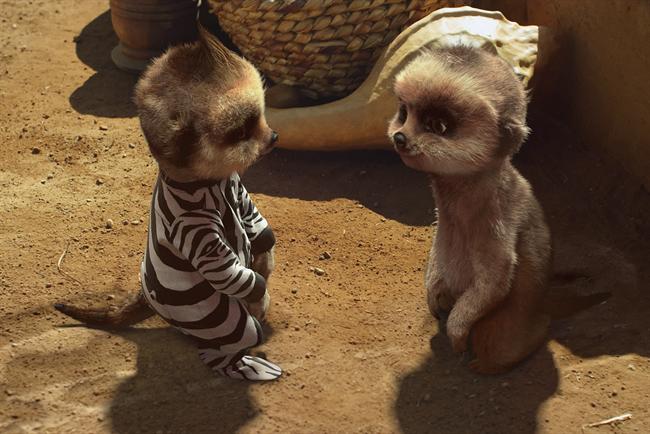 Comparethemarket.com: expands the Oleg story through Facebook ads