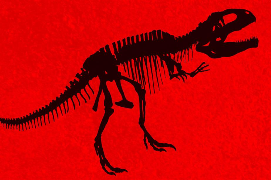 dinosaur bones in black over bright red background 