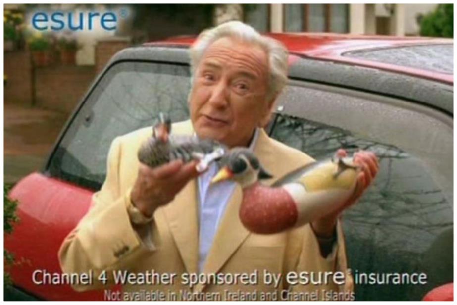 Michael Winner, the frontman of iconic Esure adverts.