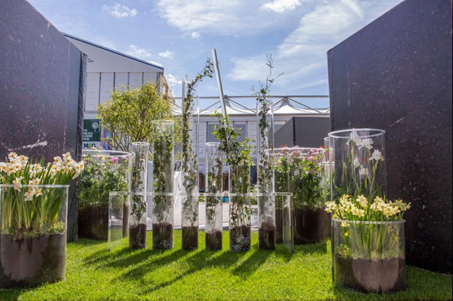 Harrods was inspired by fragrance when creating its garden (@The_RHS)