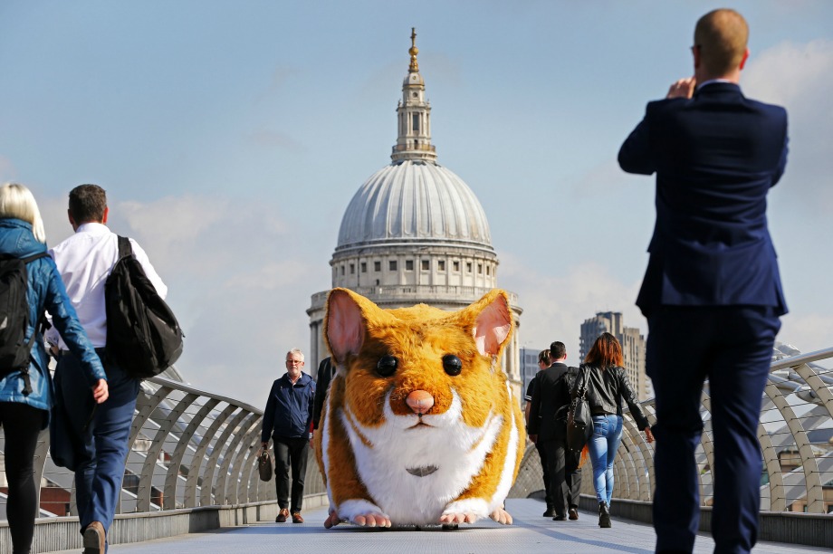 The hamster was spotted on the Millennium Bridge, South Bank and Clapham Common