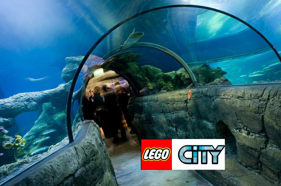 An adults-only event will be held for adults on 10 July