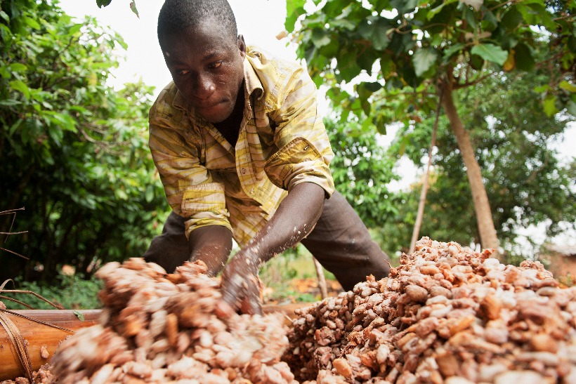 Mars: Mars Bars will be made using Faitrade cocoa from Autumn 2015