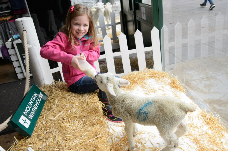 Mountain Warehouse staged a live spring activation in March 2015