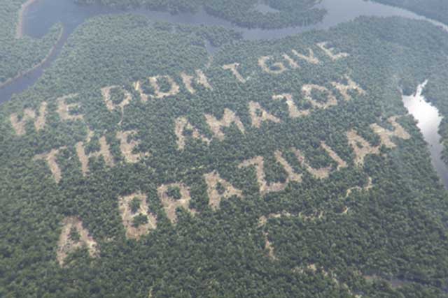 Taking risks: Paddy Power's recent deforestation stunt