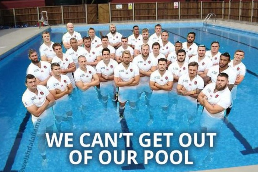England out: some rugby fans enjoyed the host nation's exit (credit: @WelshDalaiLama)