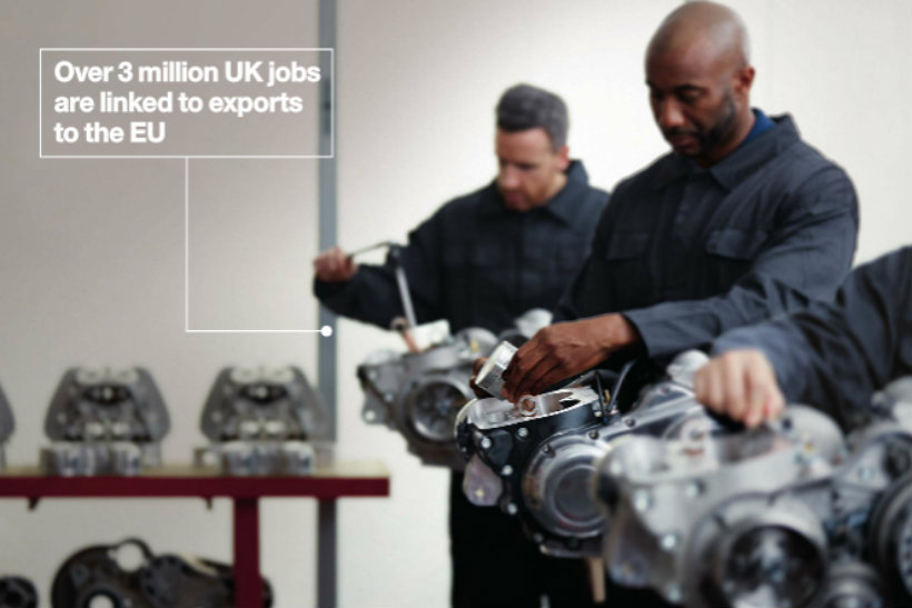 The government's pro-EU leaflet