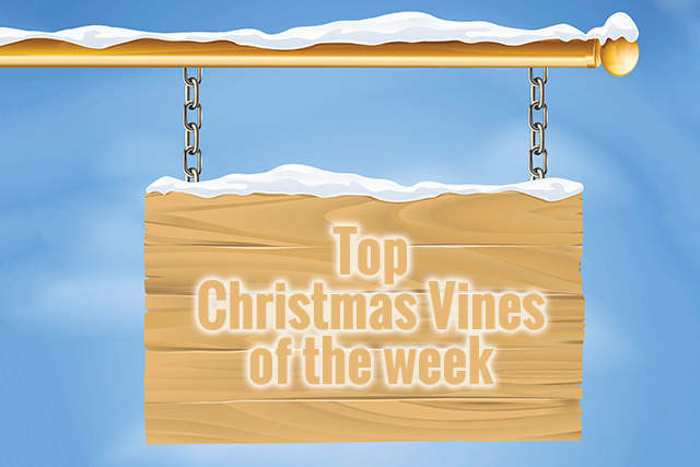 Nothing better than a seasonal Vine to get you in the mood for Christmas