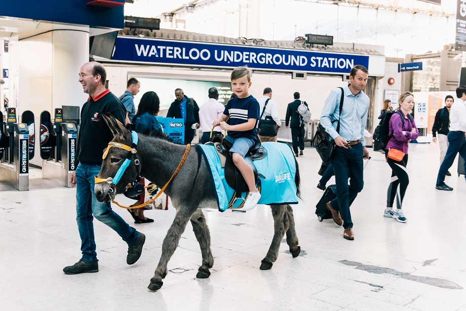 The donkeys have travelled from their native Blackpool to London
