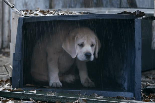 Budweiser: 'Lost Puppy' spot tops the Campaign Viral Chart.