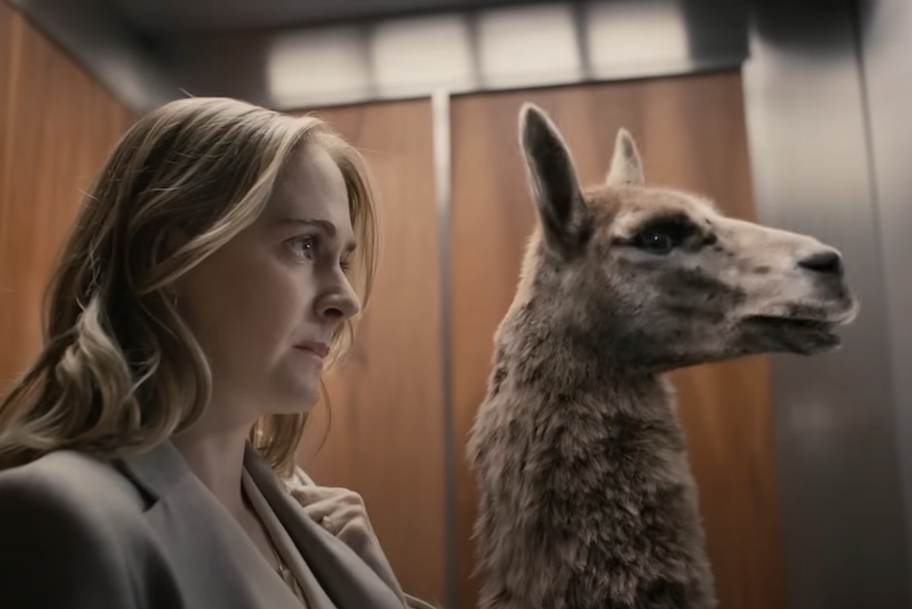 Screenshot of Dramamine ad featuring Drama Llama character