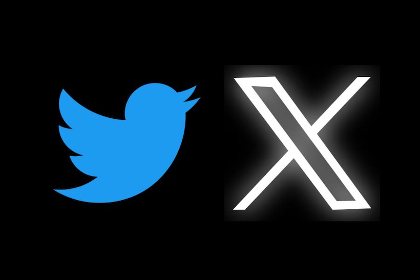 Twitter and X logo