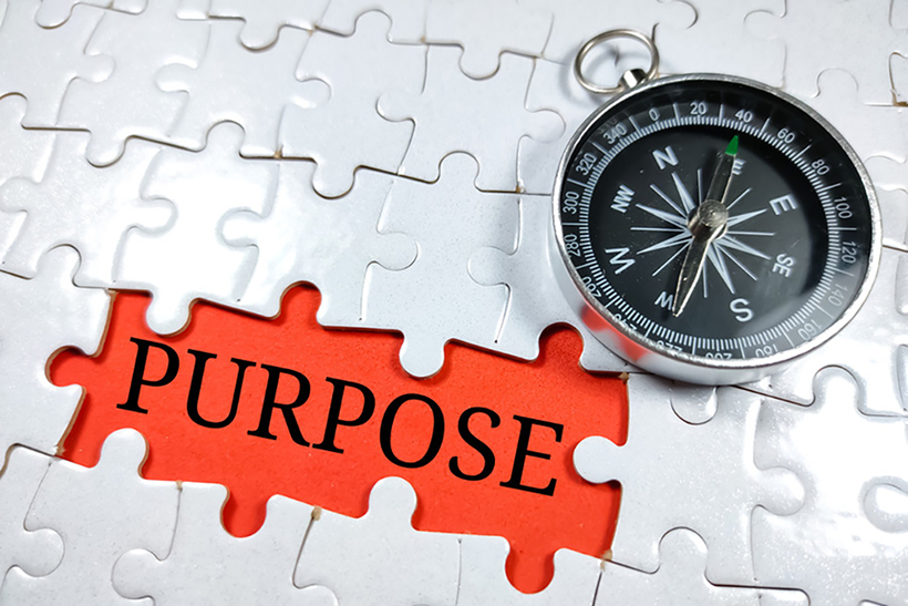 Purpose image