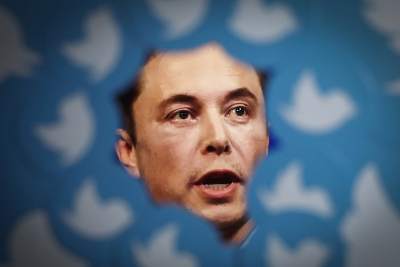 Picture of Elon Musk surrounded by Twitter logos