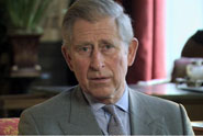 'The Prince's Rainforest Project' by Hurrell Moseley Dawson and Grimmer