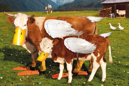 Milka 'Cows Undercover' by Ogilvy Advertising