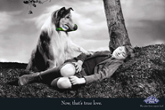 Lassie ... returns in Highland Spring ad