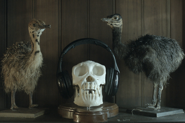 Trident Fresh 'pet shop' by F/Nazca Saatchi & Saatchi