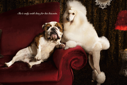 Frolic 'she's only with him for his biscuits' by CLM BBDO