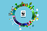 WWF…mobile film shows everything is connected