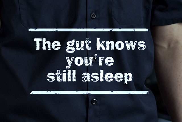 Bosch 'the gut knows you're still alseep' by Grey Group
