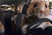 KIA 'hamsters' by David & Goliath