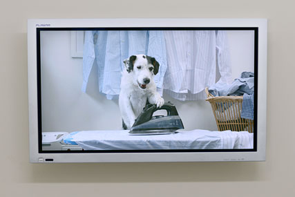 Thinkbox 'dogs home' by Red Brick Road