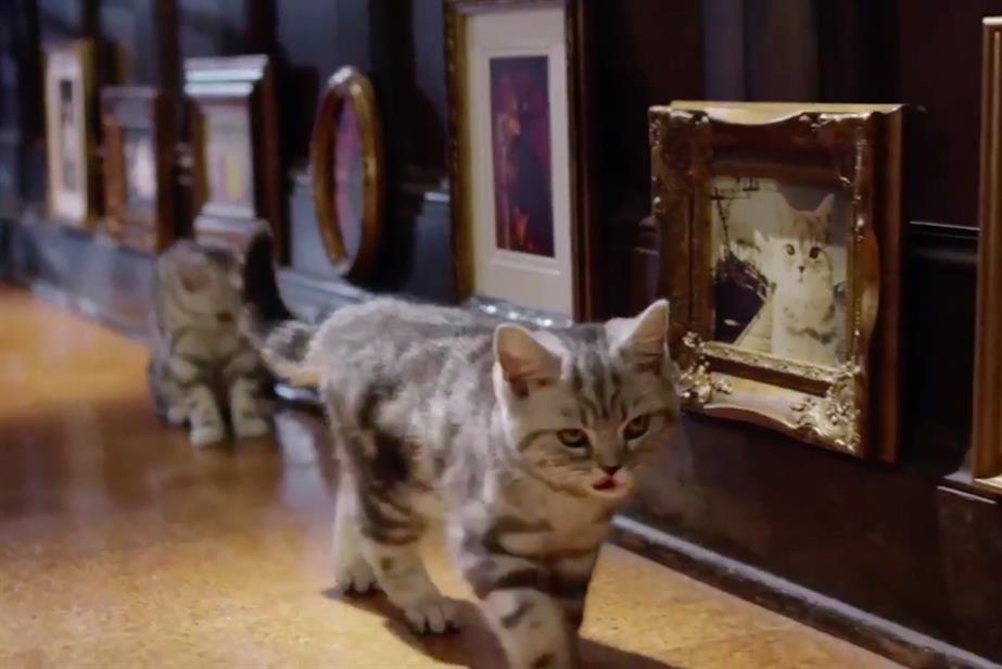 Whiskas kitten clearance advert 2015