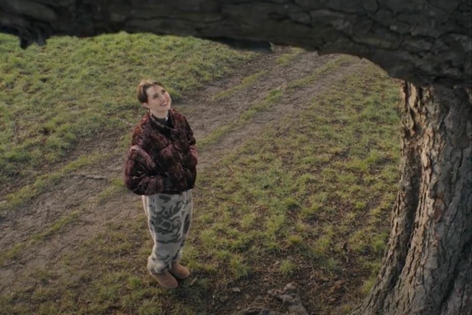 Person looking up at a tree