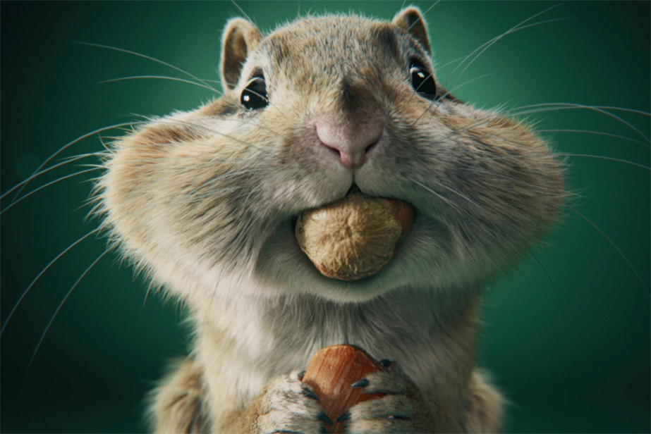 chipmunk